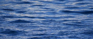 ocean