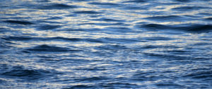 ocean